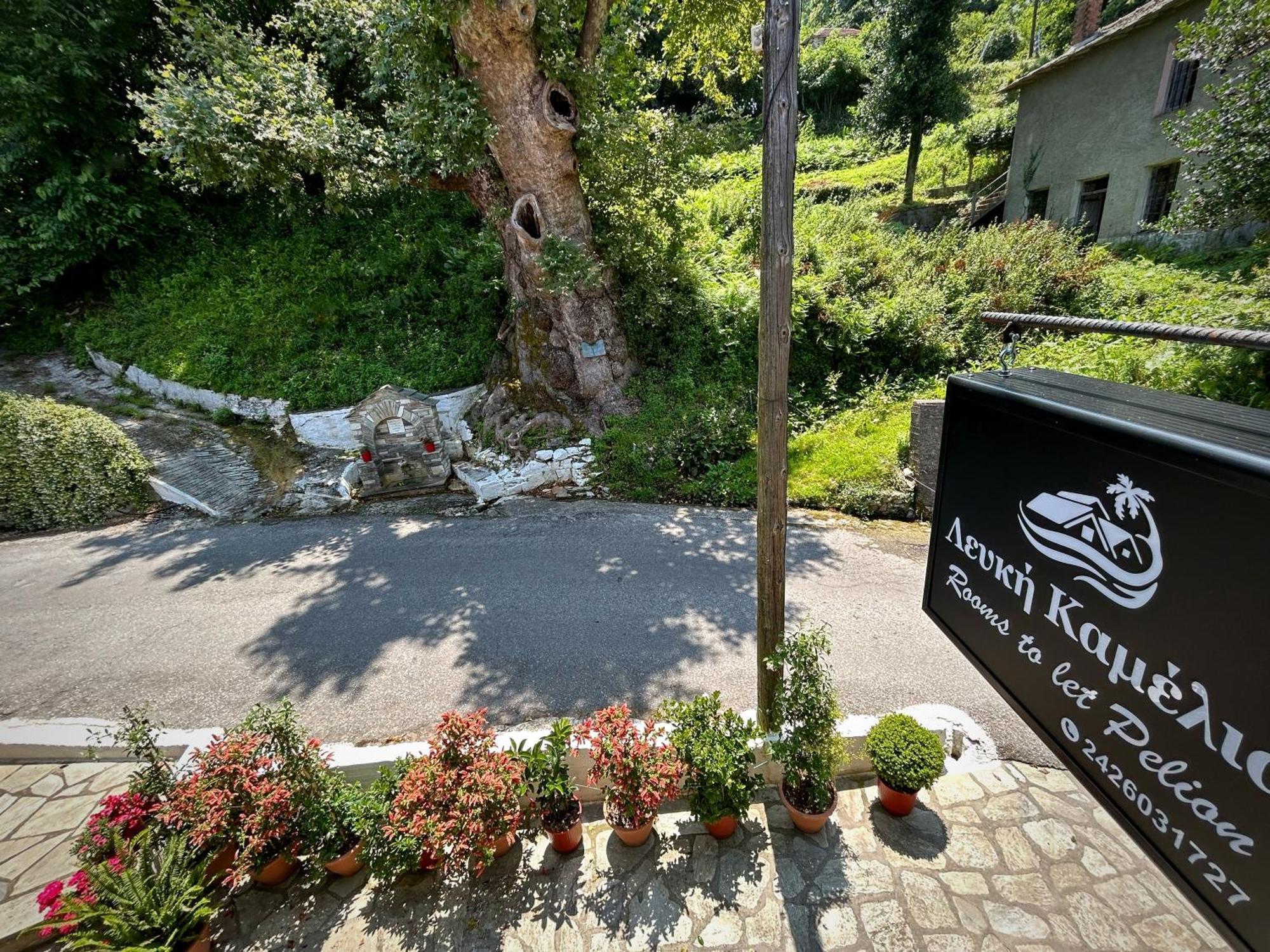 Hotel Λευκή Καμέλια Anilio Pelion Exterior foto